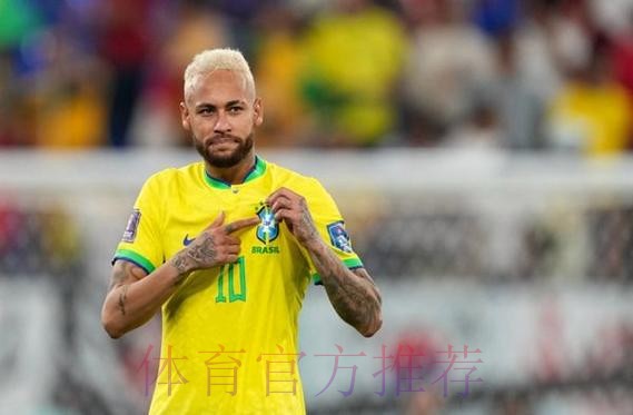 世界杯荷兰维尼修斯比赛解读全面分析